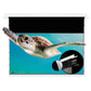 VIVIDSTORM PHANTOM Recessed In-Ceiling Motorized Tension UST ALR Projector Screen