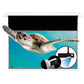 VIVIDSTORM PHANTOM Recessed In-Ceiling Motorized Tension UST ALR Projector Screen