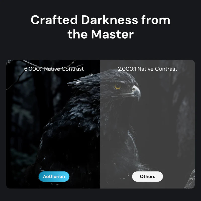 Comparison of contrast levels on an eagle image with 'Aetherion' and 'Others' labels.